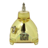 Sanyo POA-LMP66 OEM Projector Bare Lamp