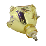 Panasonic ET-SLMP66 OEM Projector Bare Lamp