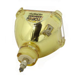 Sanyo POA-LMP66 OEM Projector Bare Lamp