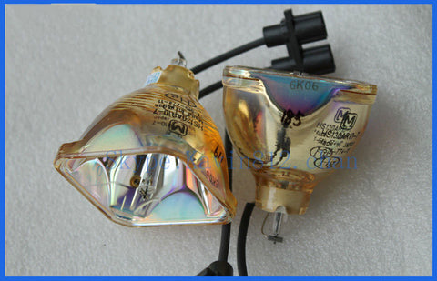 Iwasaki HS130AR10-7 OEM Projector Bare Lamp
