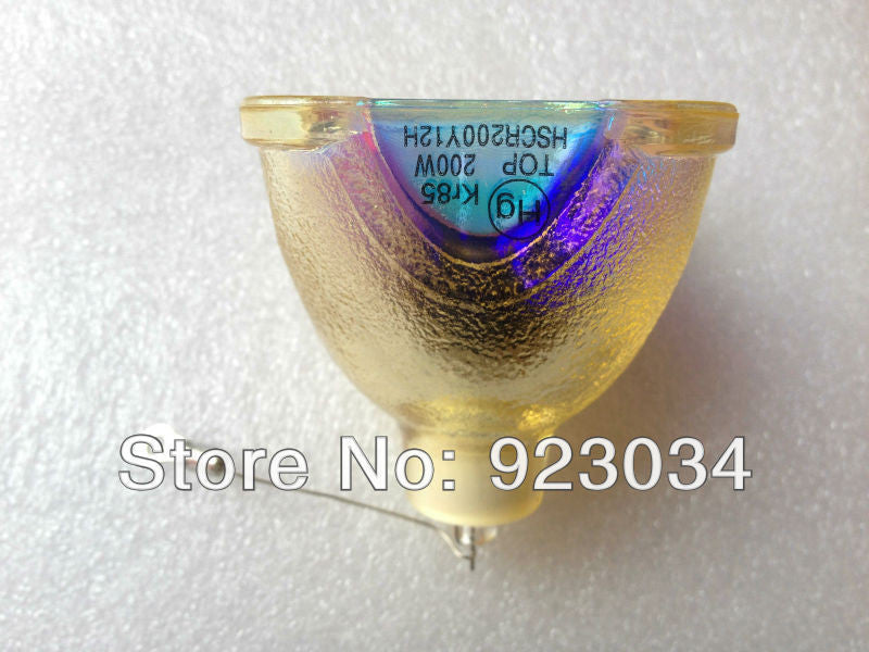 Sony LMP-E190 OEM Projector Bare Lamp