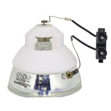 Matsushita HS420AR134 OEM Projector Bare Lamp