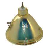 Panasonic ET-SLMP24 Philips Projector Bare Lamp