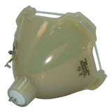 Sanyo POA-LMP49 Philips Projector Bare Lamp