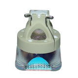 Boxlight WX35NXT  Philips Projector Bare Lamp