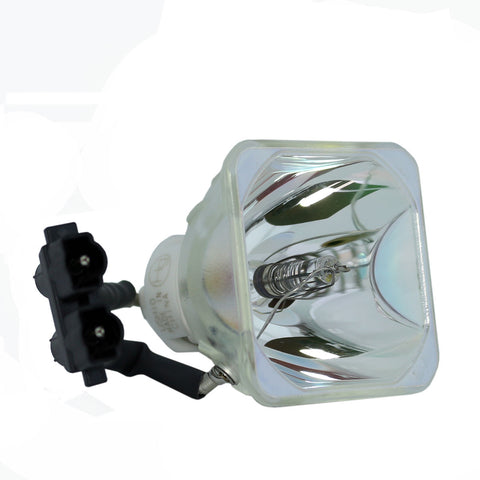 Liesegang ZU1240-04-4010 Ushio Projector Bare Lamp