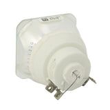 Viewsonic RLC-053 Ushio Projector Bare Lamp