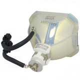 Yokogawa D3100X Ushio Projector Bare Lamp