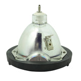 Zenith 6912B22007B SML Bare TV Lamp