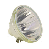 Sharp AN-R65LP1/1 Bare TV Lamp