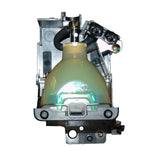 Liesegang ZU0284-04-4010 OEM Projector Lamp Module