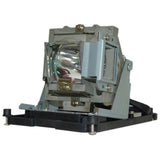 Vivitek 5811100795-SU Philips Projector Lamp Module