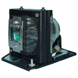 Toshiba TLP-LMT20 Phoenix Projector Lamp Module