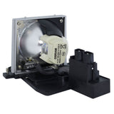 Optoma BL-FU220C Osram Projector Lamp Module