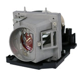 Philips 9144 000 02695 Philips Projector Lamp Module