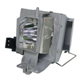 Optoma BL-FP195A Philips Projector Lamp Module