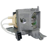 Optoma BL-FP195A Philips Projector Lamp Module