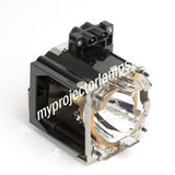 Runco 151-1037-00 Philips Projector Lamp Module