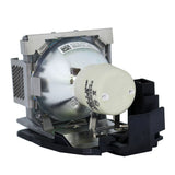 BenQ 5J.J1105.001 Philips Projector Lamp Module