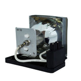 NEC DT400 Phoenix Projector Lamp Module