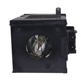 BenQ 60.J2010.CG2 Ushio Projector Lamp Module