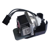 Viewsonic RLC-030 Ushio Projector Lamp Module