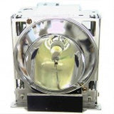 Liesegang ZU0243-04-4010 OEM Projector Lamp Module