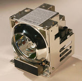 Liesegang ZU0243-04-4010 OEM Projector Lamp Module