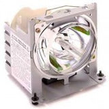Liesegang ZU0250-04-4010 OEM Projector Lamp Module