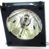 Liesegang ZU0255-04-4010 OEM Projector Lamp Module