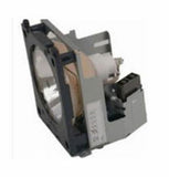 Liesegang ZU0255-04-4010 OEM Projector Lamp Module