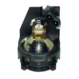 Liesegang ZU0205 04 4010 OEM Projector Lamp Module