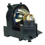 Liesegang ZU0202-04-4010 OEM Projector Lamp Module