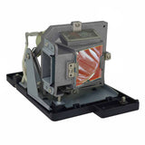 Vivitek 5811100876-S Philips Projector Lamp Module