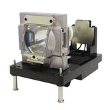 Digital Projection 114-229 Ushio Projector Lamp Module