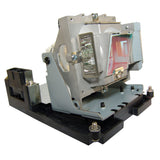 Vivitek 5811100795-SU Compatible Projector Lamp Module
