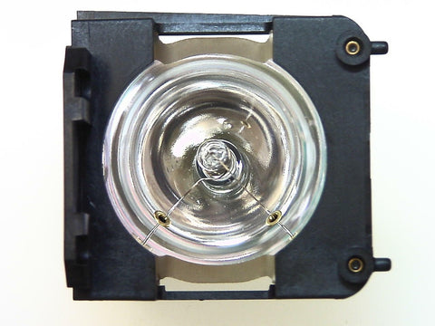 Liesegang ZU1202-04-4010 Compatible Projector Lamp Module
