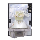 Optoma BL-FU220D Compatible Projector Lamp Module