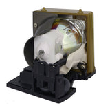 Optoma SP.61.80Y01.001 Compatible Projector Lamp Module