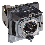 Viewsonic RLC-114 Compatible Projector Lamp Module